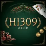 Hi309 Game